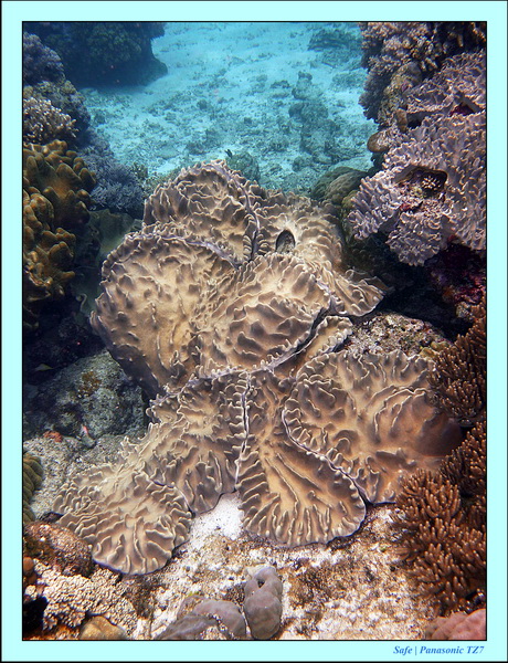 2012 - 07 - Apoh Island 07
